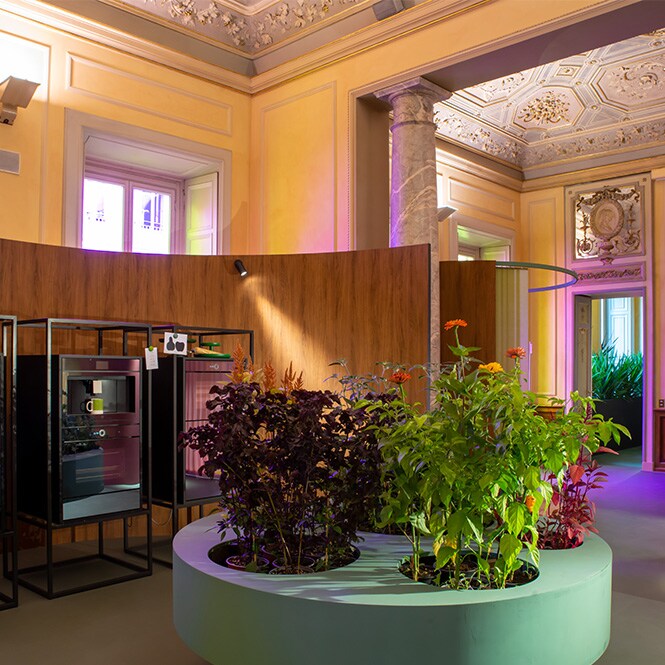 Layout conceitual de ambiente interno com móveis modernos, iluminação colorida, floreiras com flores e superfícies revestidas com cores sólidas e filmes DINOC.