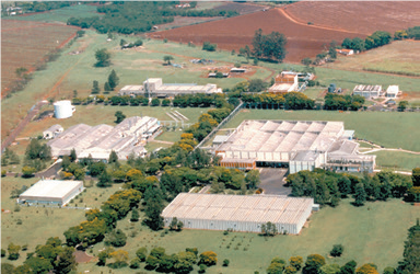 Ribeirão Preto
