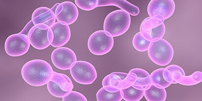 Bioburden Reduction Applications for Biopharmaceutical Manufacturing

