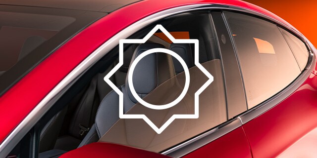 Driver side window tint film with sun icon
