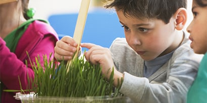 Imagem de um menino mexendo em uma planta com uma régua.
