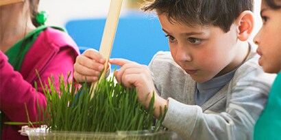 Imagem de um menino plantando com os seus colegas.