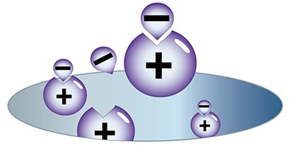 Endotoxin Removal Applications for Chemical API Manufacturing
