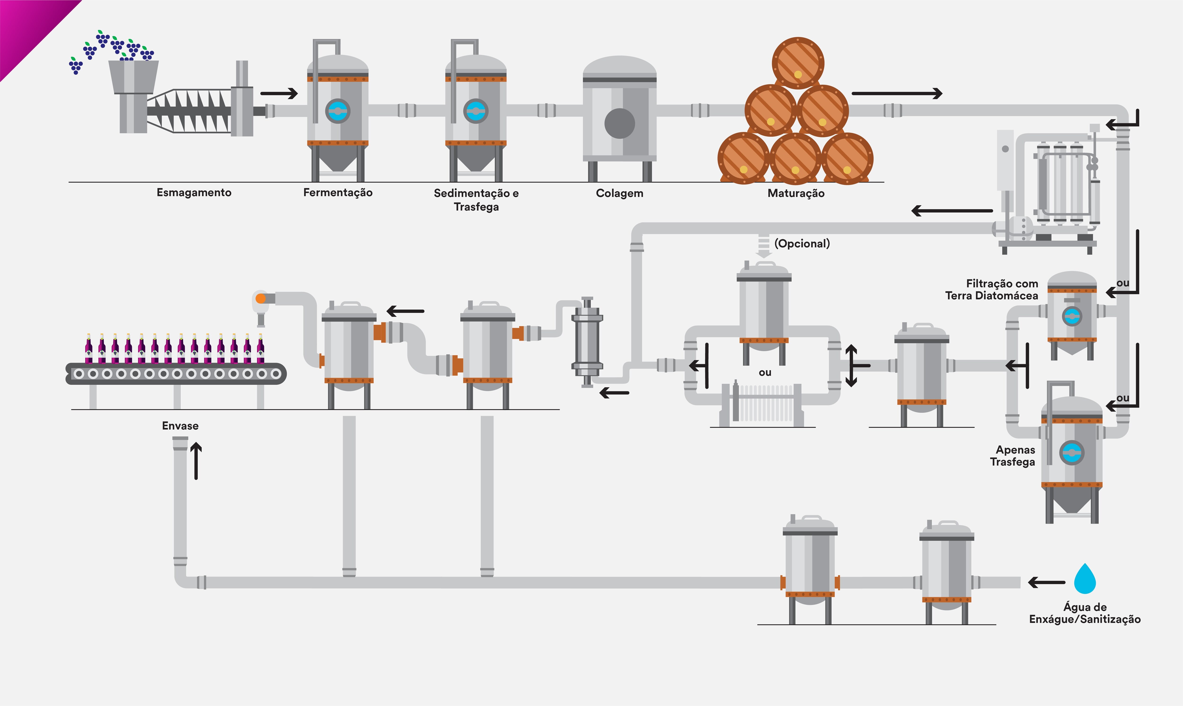 Mapa de processo de fabricação de vinho
