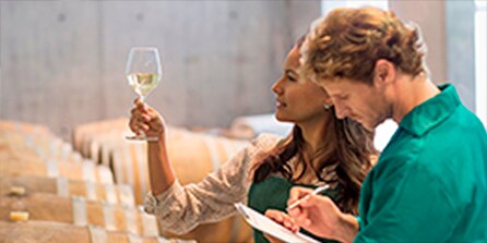 3M Filtration Products and Applications for Wine Production
