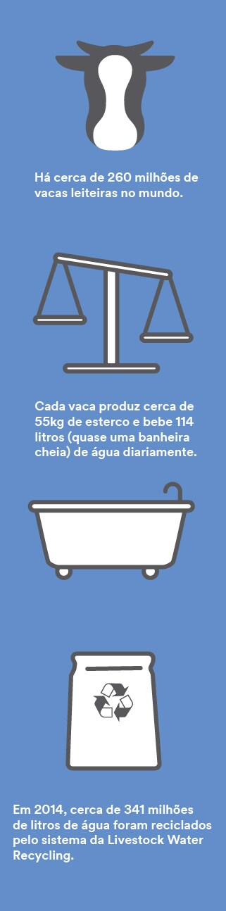 Infographic with the image of a cow and bathtub.