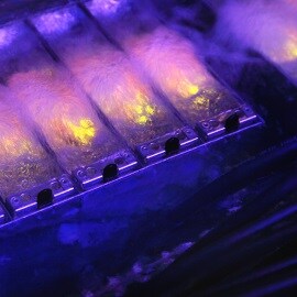 Immersion cooling